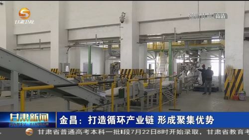 金昌 打造循環(huán)產(chǎn)業(yè)鏈 形成聚集優(yōu)勢