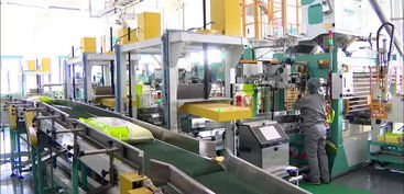 大動作 黑龍江培育壯大 百億級 企業艦群