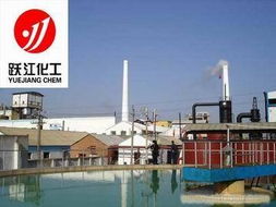 鈦白粉r299,鈦白粉r299相關信息 上海鈦白粉 躍江鈦白化工 ebdoor