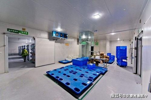 防爆冷庫安裝,防爆冷庫工程建造要點