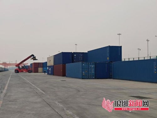 聚焦共建 一帶一路 產業發展國際研討會丨商城 臨沂號 的 一帶一路 之旅