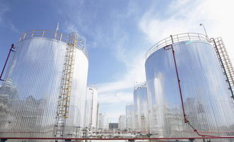 河北省化工園企業(yè)入園率已達51 3d打印出靈活可擴展tpu印花連衣裙