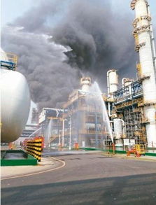 受 無化區(qū) 影響, 部分關(guān)閉化工企業(yè)名單