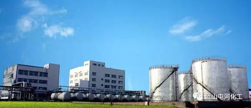 公眾平臺 新材料公司 石墨料eps 正式亮相,標志著公司質量管理 科技創新工作邁上新的臺階,更為建筑節能事業貢獻智慧與力量