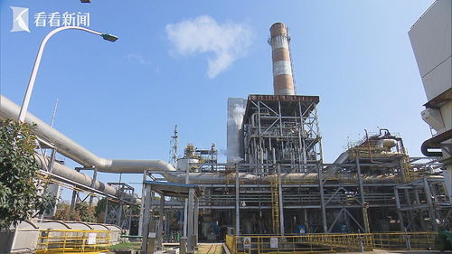 惠企政策精準直達 加快落實重點企業 服務包