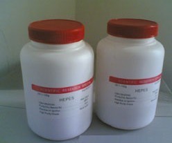 Spectrun進口對二甲苯_上海勁馬生物科技_化工產品_精細化工_生物試劑 _阿儀網