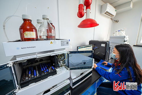 萬人有效發明專利擁有量連續10年位居全省第一 秦皇島以科技創新打造知識產權強市