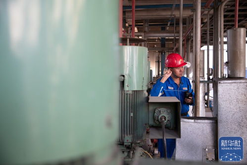 東北石化產業“減油增化”轉型之路：化工設備銷售的新機遇與挑戰