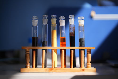 柔性引才培育創新沃土 云南化工原料產業的新質生產力實踐